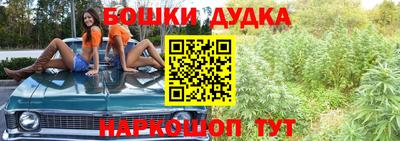гидра Малгобек