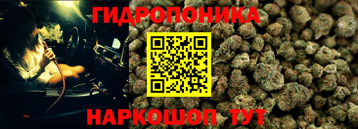Каннабис марихуана  Конопля SATIVA & INDICA  Вход с VPN  Бошки марихуана OG Kush  Тосно  Каннабис конопля 